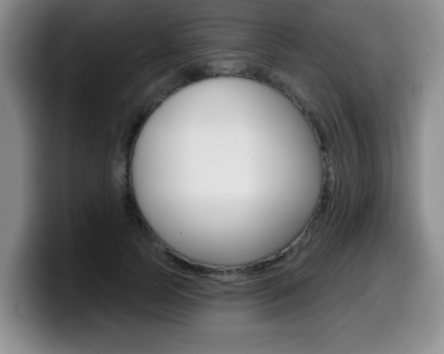 X0000099480745200805090833