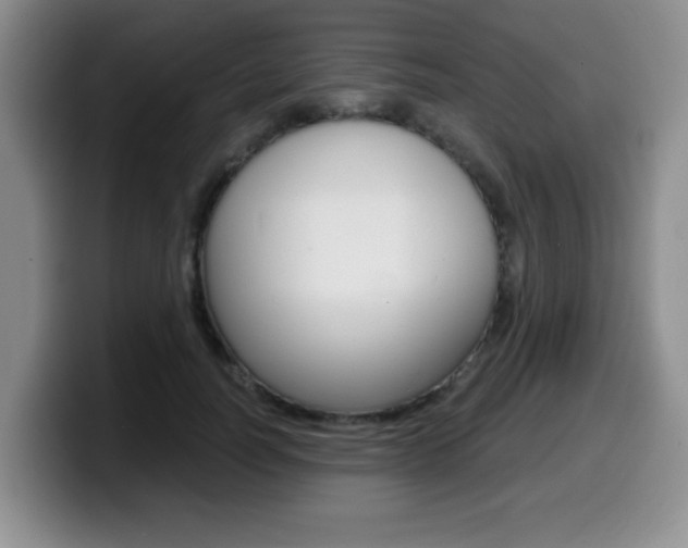 X0000099480746200805090833