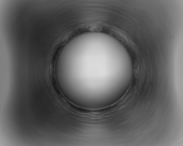 X0000099480748200805090833