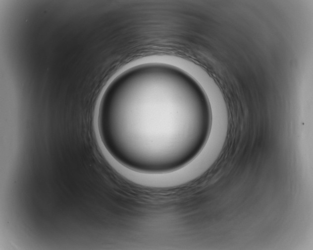 X0000099480749200805090833