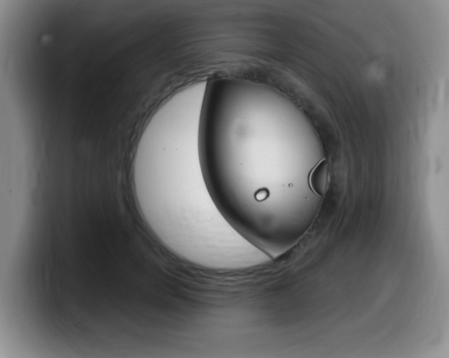 X0000099480750200805090833