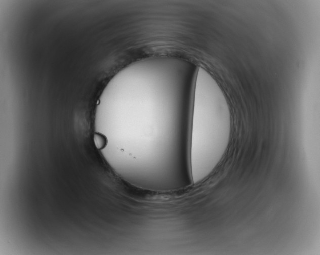 X0000099480751200805090833