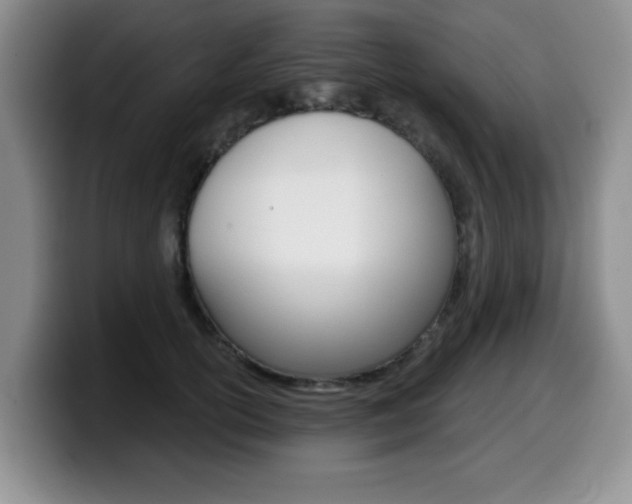 X0000099480754200805090833