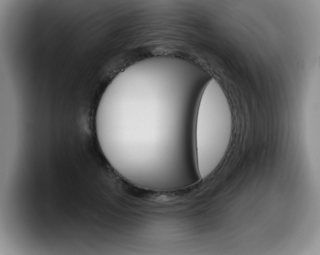 X0000099480755200805090833