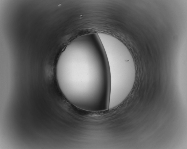 X0000099480756200805090833