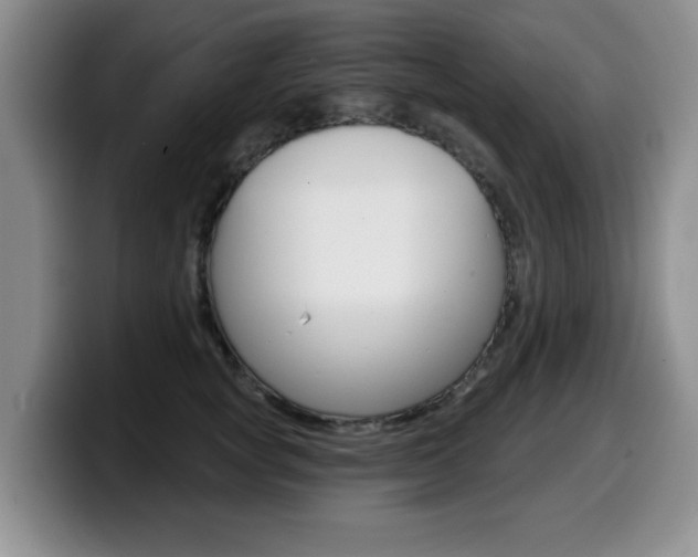 X0000099480757200805090833