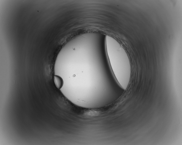 X0000099480759200805090833