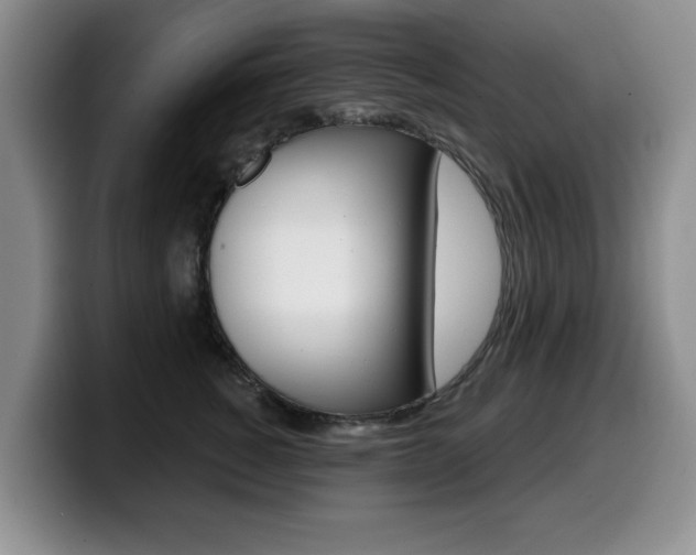 X0000099480760200805090833