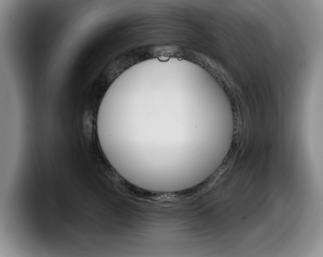 X0000099480761200805090833
