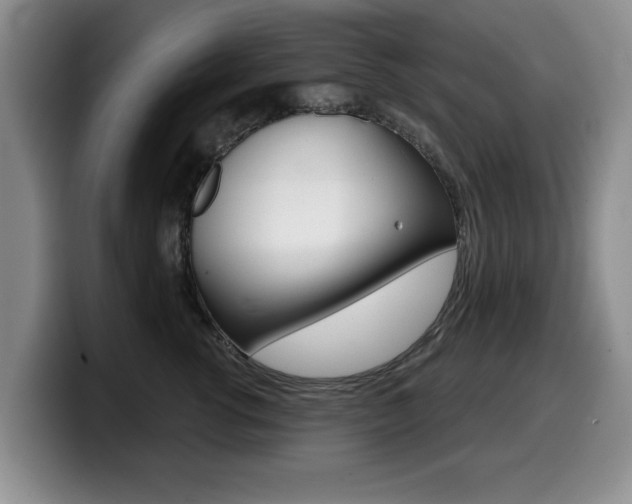 X0000099480762200805090833