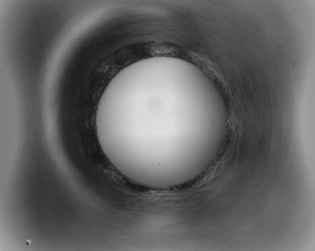 X0000099480763200805090833