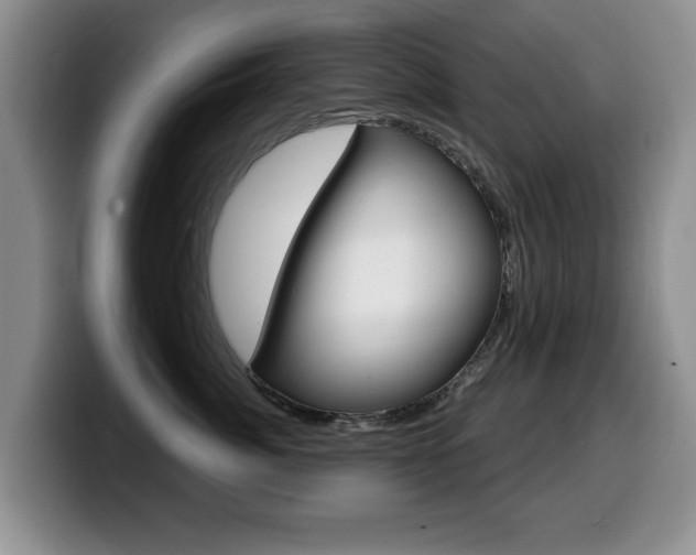 X0000099480764200805090833