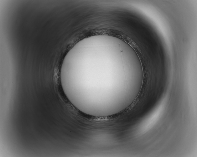 X0000099480767200805090833