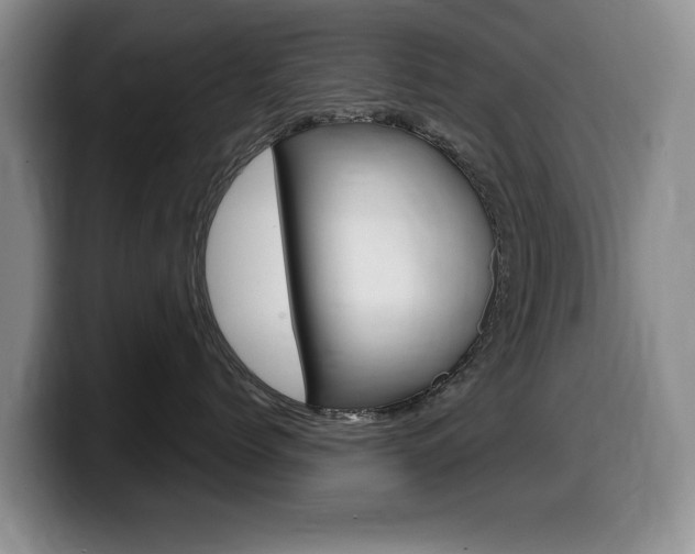 X0000099480768200805090833