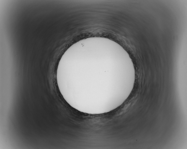X0000099480769200805090832