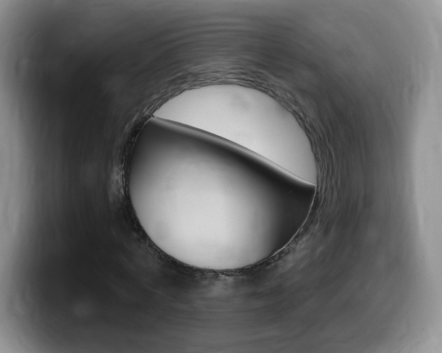 X0000099480772200805090832