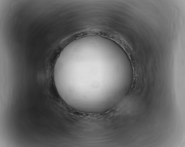X0000099480773200805090832
