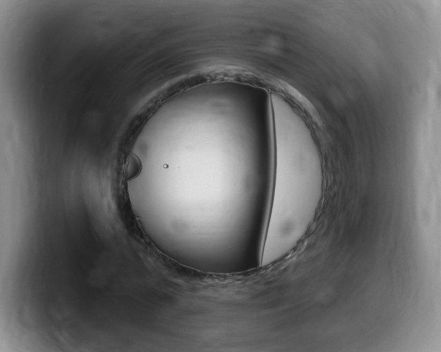 X0000099480775200805090832