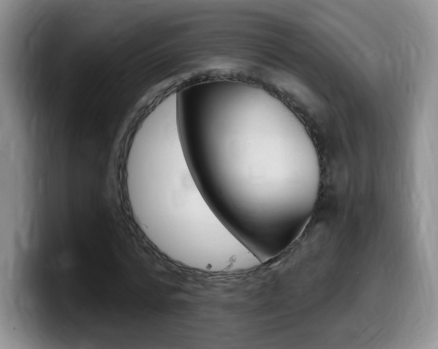 X0000099480776200805090832