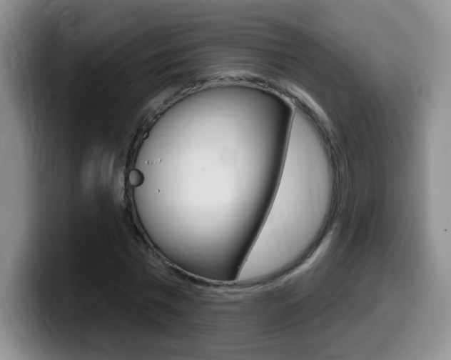 X0000099480777200805090832