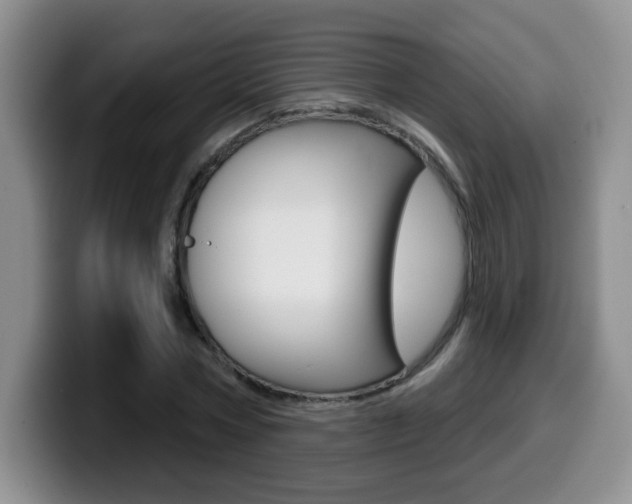 X0000099480778200805090832