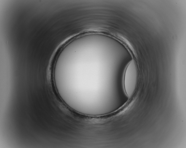 X0000099480779200805090832