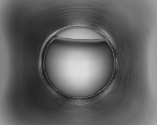 X0000099480780200805090832