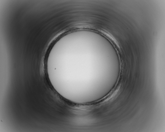 X0000099480782200805090832