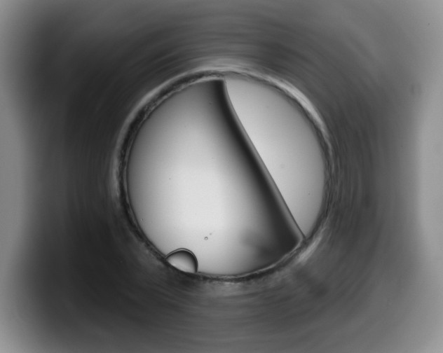 X0000099480783200805090832