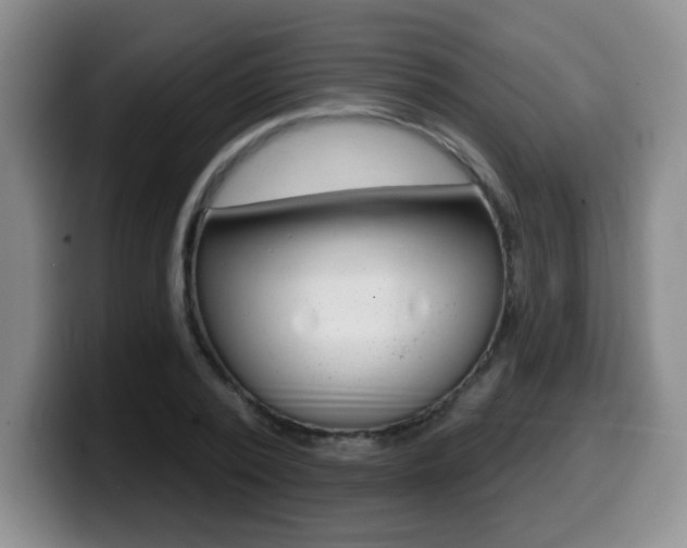 X0000099480784200805090832
