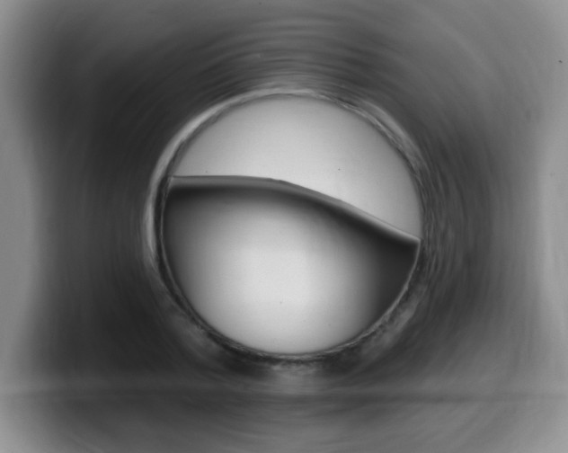 X0000099480788200805090832
