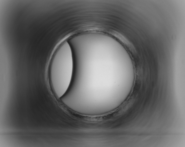 X0000099480790200805090832