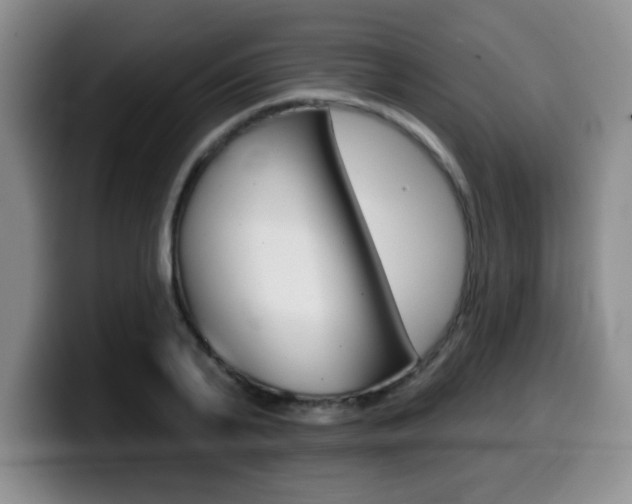 X0000099480791200805090832