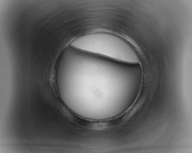 X0000099480793200805090832