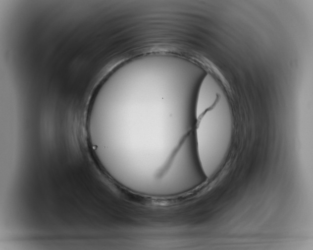 X0000099480794200805090832