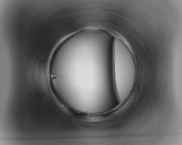 X0000099480795200805090832