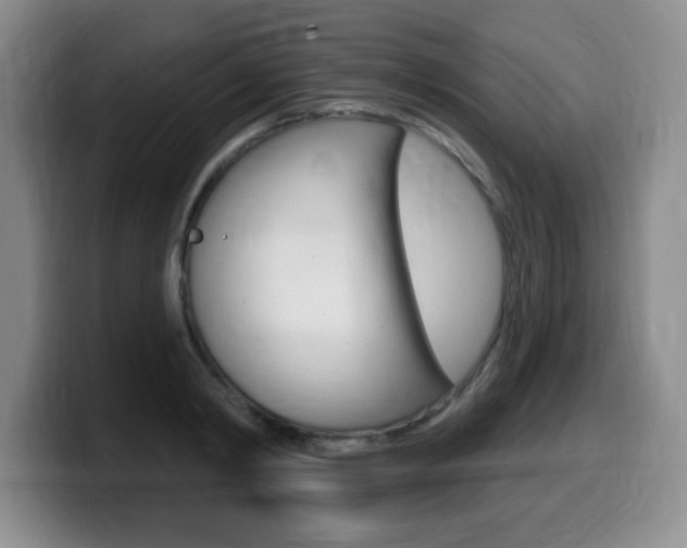 X0000099480798200805090832