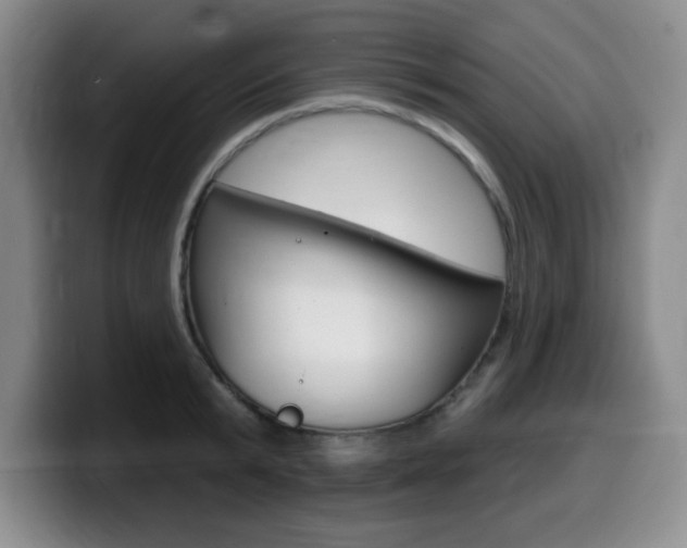 X0000099480799200805090832