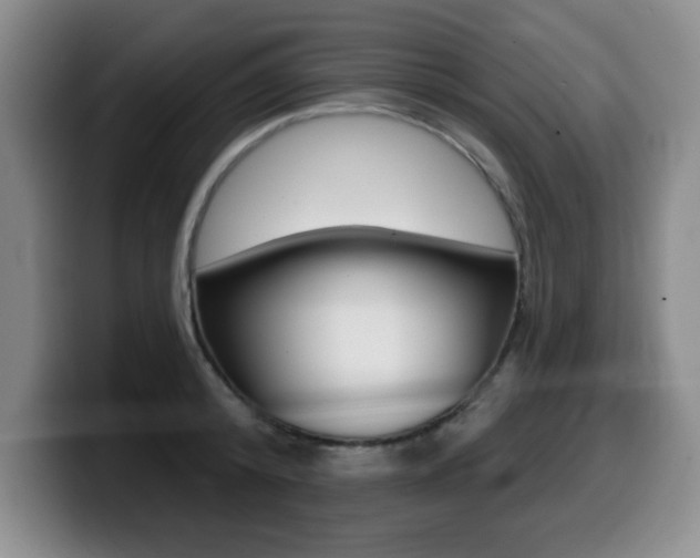 X0000099480800200805090832