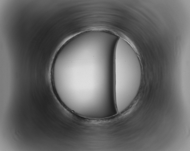 X0000099480803200805090832