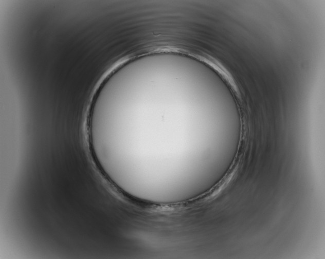 X0000099480806200805090832