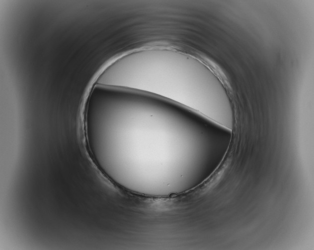 X0000099480808200805090832