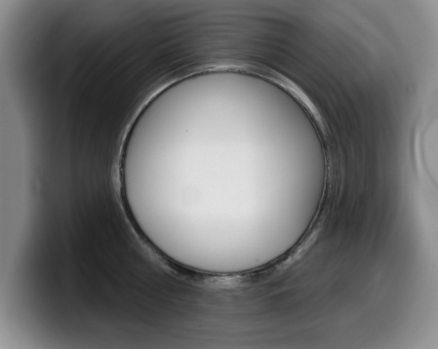 X0000099480810200805090832