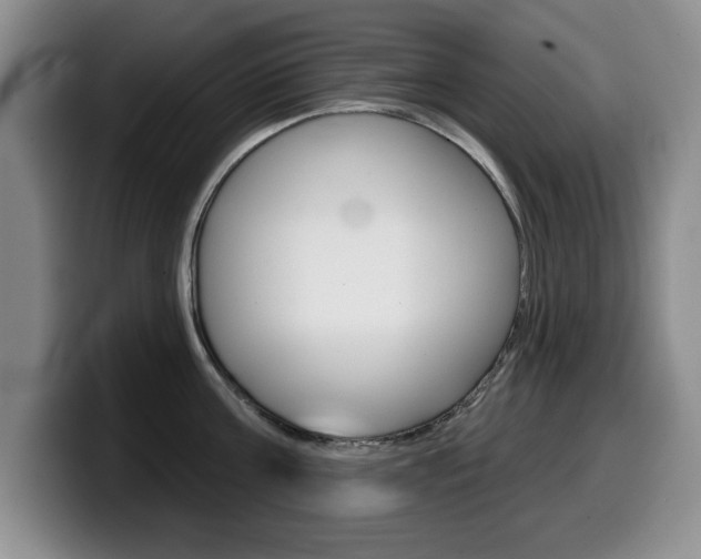 X0000099480811200805090832