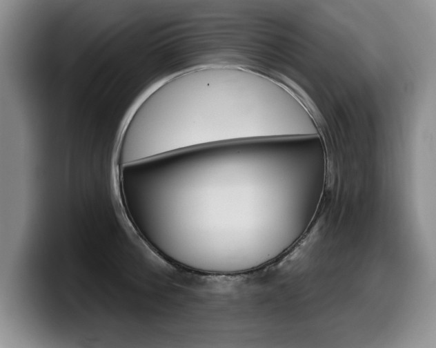 X0000099480812200805090832