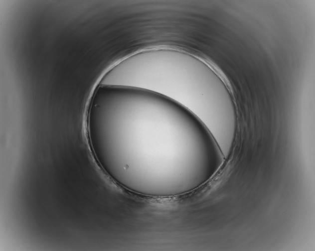 X0000099480813200805090832