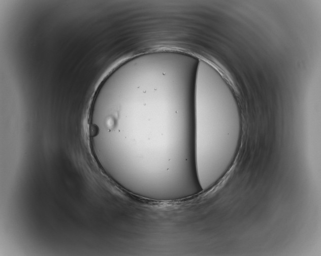 X0000099480814200805090832