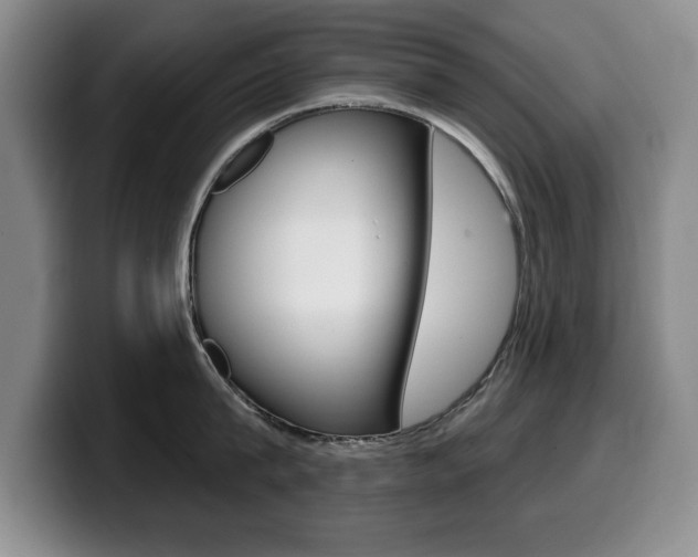 X0000099480815200805090832