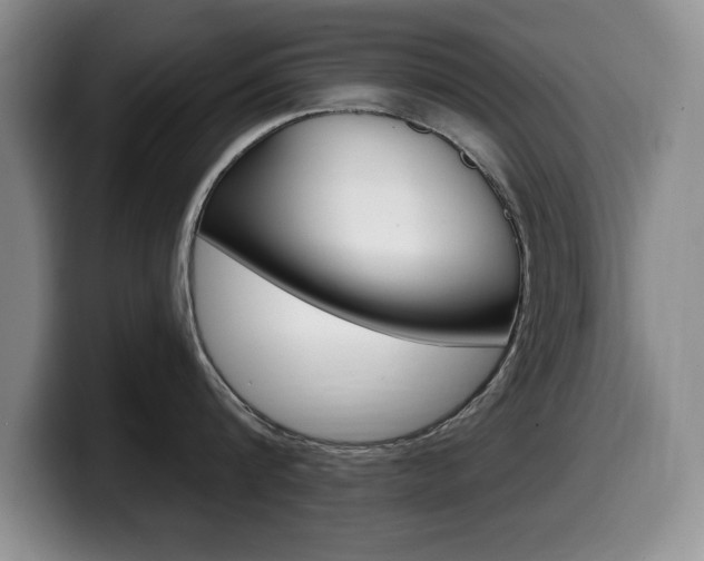 X0000099480816200805090832