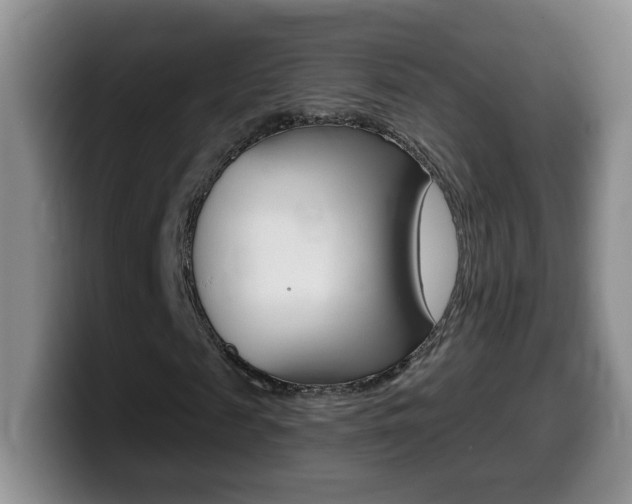 X0000099480817200805090831